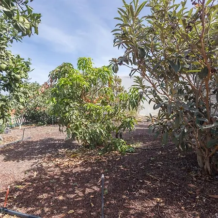 2br House - Private Pool & Terrace * Galdar