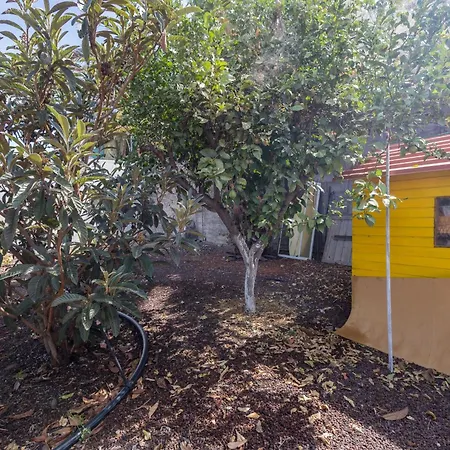 2br House - Private Pool & Terrace